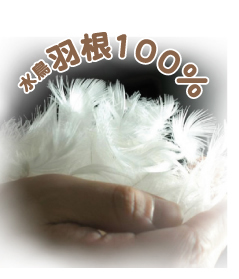 �����H���P�O�O���̕z�c